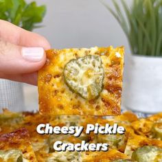 a hand holding up a piece of cheesy pickle crackers in front of a potted plant