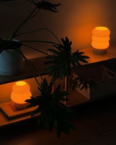 two plants are lit up in front of the light on top of a table next to a mirror