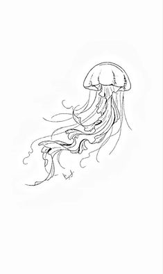 a black and white drawing of a jellyfish