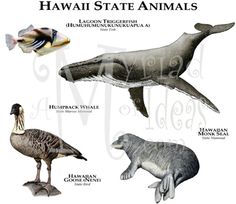 an image of some animals that are in the wild