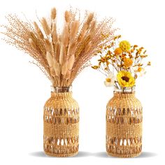 two vases with dried flowers in them on a white background