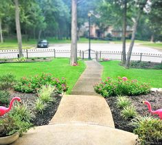 two pink flamingos are standing in the grass near some bushes and flowers on a sidewalk