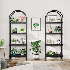 two black shelves with plants and pictures on them