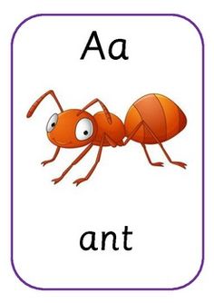 an orange ant on a white background with the letter a in it's center