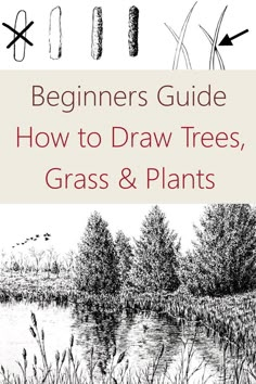 How to draw trees Tree Pen Sketch Simple, Drawing Foliage Tutorial, Sketching Trees For Beginners, Learn To Draw Landscape, Backgrounds To Add To Drawings, Beginner Landscape Drawing, How To Sketch Plants, Drawing Bushes Shrubs, How To Draw Realistic Trees