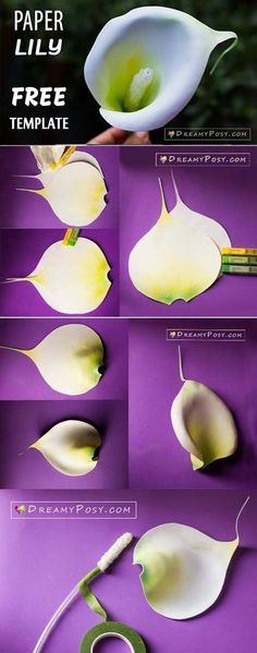 how to make paper lily flower with free template