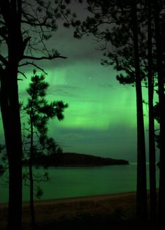 an aurora bore is seen in the sky over trees and water at night time with stars above