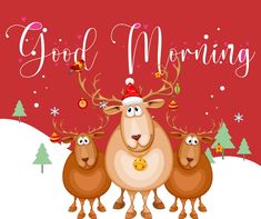 Christmas Wednesday, Happy Greetings, Morning Christmas, Christmas Memes, Christmas Board, Online Friends, Morning Greeting, Good Night