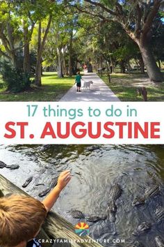 a boy in a hammock looking at alligators on the water with text that reads 17 things to do in st augustine