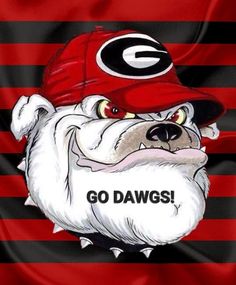 a drawing of a bulldog wearing a hat with the word go dawgs on it