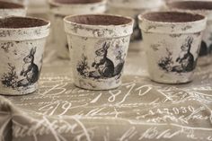 several pots with plants in them sitting on a cloth covered tablecloth, lined up and ready to be used as planters