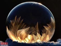 a crystal ball with some feathers in it sitting on top of the snow covered ground