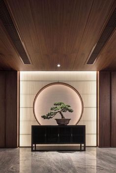 a bonsai tree is displayed in the middle of a room