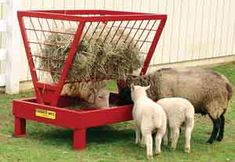 two sheep are eating hay out of a red feeder