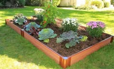 a wooden garden box filled with lots of different types of plants and flowers in the grass