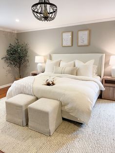 a large bed sitting in a bedroom on top of a rug