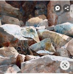 an image of rocks with plants growing out of them