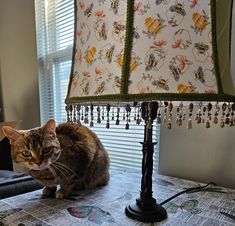 a cat sitting on top of a table next to a lampshade and lamp shade