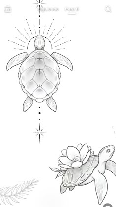 a drawing of a turtle and a flower