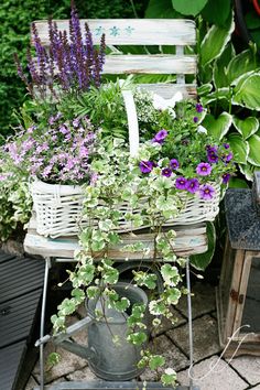 an old chair is filled with flowers and plants