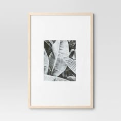 a black and white photo hanging on a wall next to a plant in a wooden frame