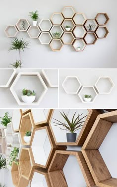 the shelves are made out of hexagonal wood and have plants on each shelf