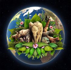 an image of the earth with animals and plants on it, as well as words that read paradise earth