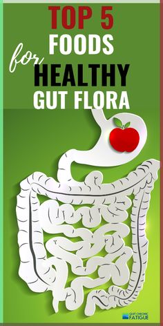 So What's The Big Deal About Gut Bacteria? Bacteria may sound like a dangerous thing to have in your body. But they’re a normal part of Foods For Healthy Gut, Food For Kidney Health, Heal Leaky Gut, Foods Healthy, Vibrant Fashion, Gut Flora, Flora Intestinal, Healthy Morning Routine