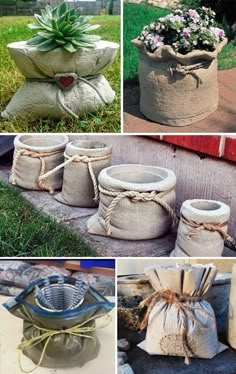 several pictures of pots and bags with plants in them