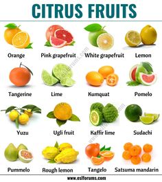 citrus fruits with their names and pictures