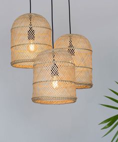 three light fixtures hanging from a ceiling in a room with a potted plant on the side