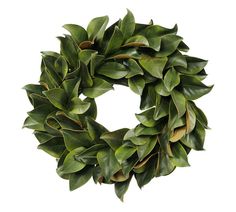 a wreath with green leaves is shown on a white background and looks like it could be used as an ornament