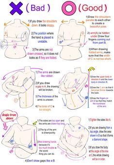 the instructions for how to draw female torsos in different positions and sizes, with text below