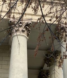 the columns are covered with snow and branches