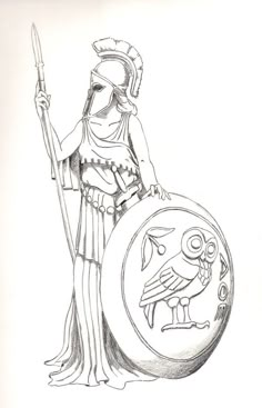 Athena Greek Goddess Drawing, Athena Shield Tattoo, Greek Amphora Tattoo, Athena Goddess Drawing, Athena Sketch, Athena Shield, Athena Drawing, Greek Mythology Drawings, Athena Tattoos