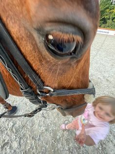 Cute Horse Aesthetic, Horse Selfie, Draw A Horse, Simple Draw, Horse Ownership, Horsey Life, Horse Riding Aesthetic, Funny Horse Pictures, Funny Situations