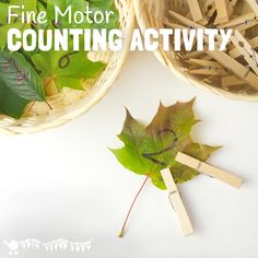 a wooden stick sticking out of a leaf with the words fine motor counting activity on it