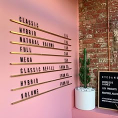 a pink wall with metal letters on it and a potted cacti in the corner