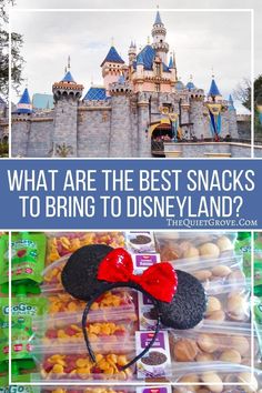 what are the best snacks to bring to disney land? and how do they get there?