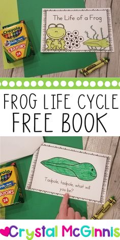 frog life cycle free book for kids to color and practice their writing skills with the frog life cycle