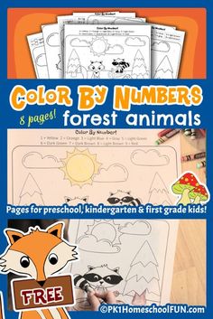 the book color by numbers for forest animals