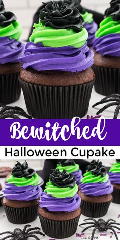 chocolate cupcakes decorated with green and purple icing, black spider web on top