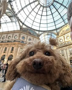 a man holding a small dog in his arms while standing next to a glass dome