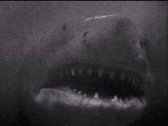 a shark with its mouth open and it's teeth out in the dark water