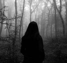 a person standing in the woods with fog