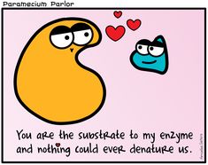 an image of a cartoon character saying you are the substance to my enzyme and nothing could ever - denature us