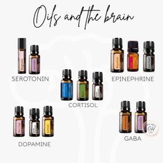 Sacred Sisters, Terra Essential Oils, Esential Oils, Doterra Diffuser Blends, Essential Oil Combinations, Essential Oil Diffuser Blends Recipes, Essential Oils Guide, Mood Support