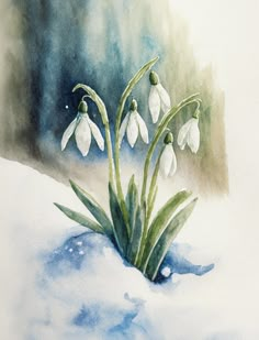 a watercolor painting of snowdrops in the snow