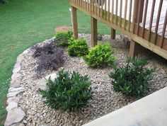 some plants and rocks near a wooden deck