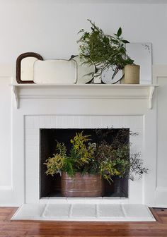 a white fireplace with potted plants on top